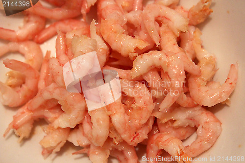 Image of Many boiled tasty and refined shrimps