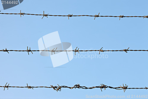 Image of Barbed wire