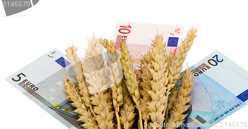 Image of wheat ripe harvest ears euro cash banknote white 