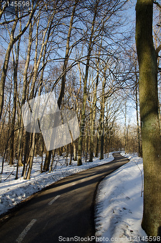 Image of Winding trail