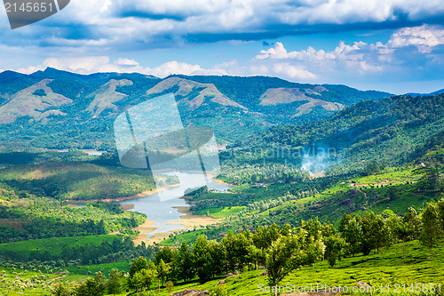 Image of Tea plantations in India