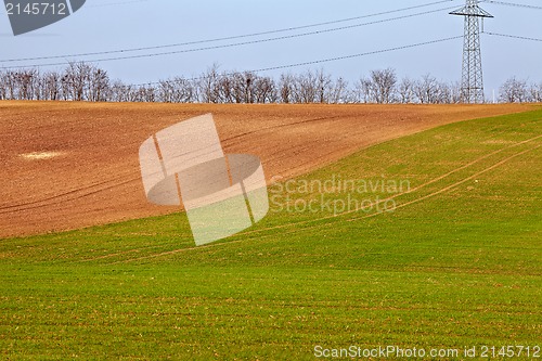 Image of Agriculture