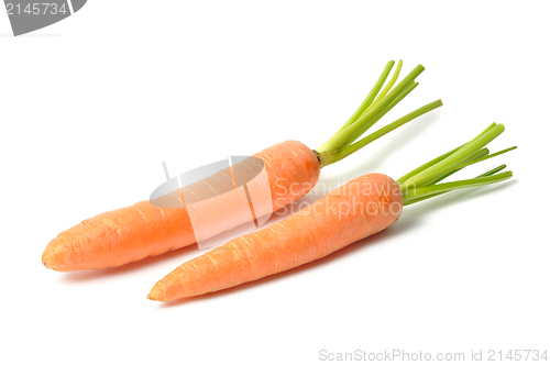 Image of Carrots on White