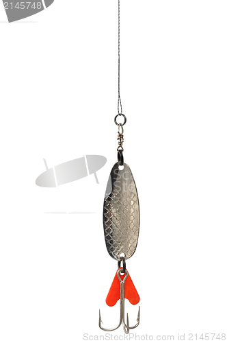 Image of Fishing Bait