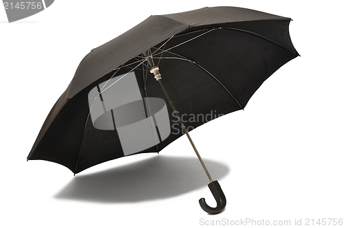 Image of Black Umbrella