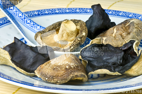 Image of Shiitake and jew's ear mushroom