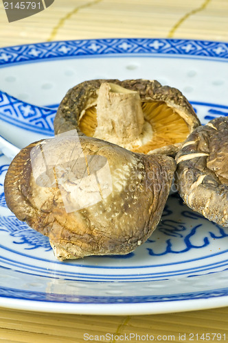 Image of Shiitake mushroom