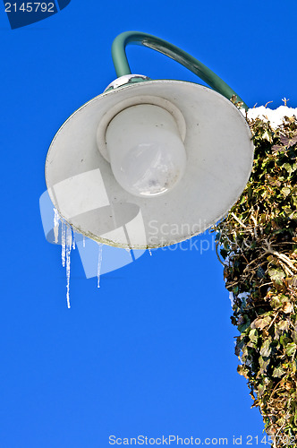Image of Icicle on a street lamp