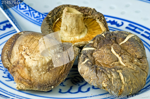 Image of Shiitake mushroom