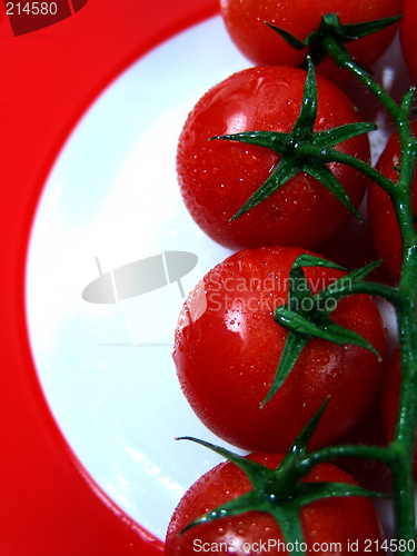 Image of tomatoes