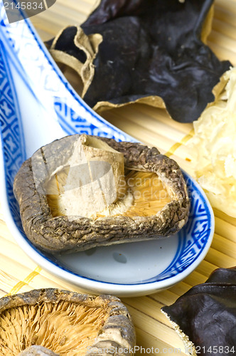 Image of Shiitake mushroom