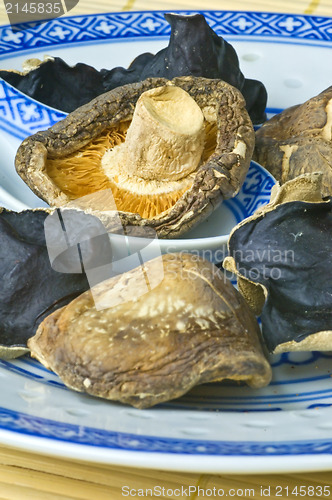 Image of Shiitake and jew's ear mushroom