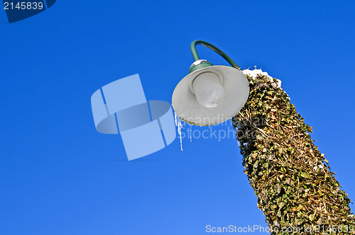 Image of Icicle on a street lamp