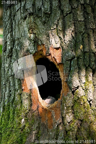 Image of Hole