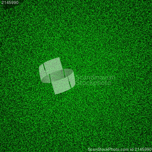 Image of Green Grass.