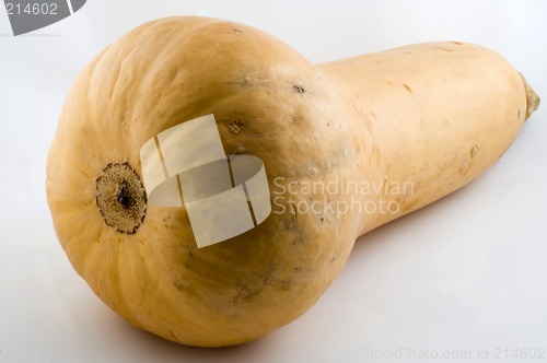 Image of Butternut Squash