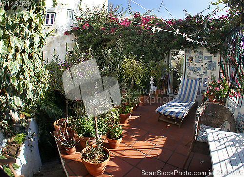 Image of Well designed terrace with flowers