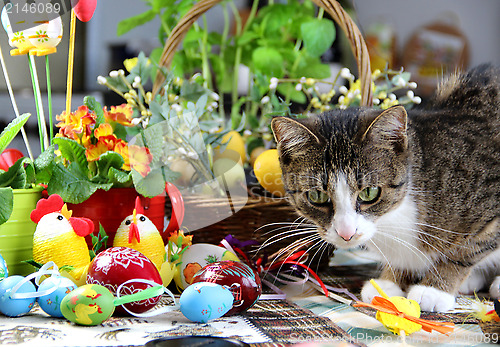 Image of Easter rabbit and funny cat