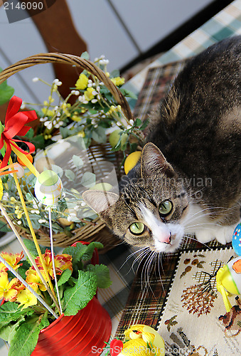 Image of Easter rabbit and funny cat