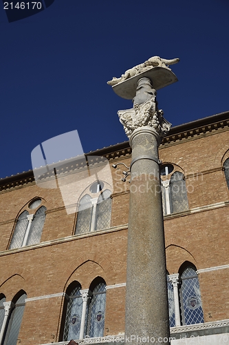 Image of Lupa di Siena