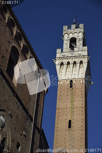 Image of Torre del Mangia (Siena)