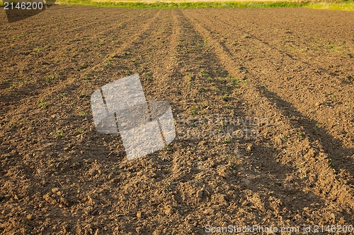 Image of Soil