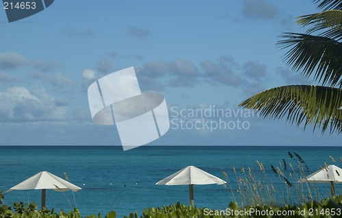 Image of ocean beach with chairs umbrellas