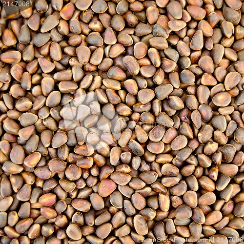 Image of Cedar nuts texture