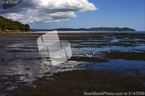 Image of nail sailing palm  hill lagoon and coastline 