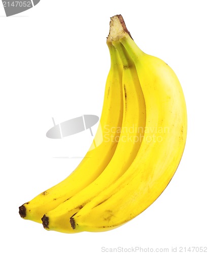 Image of Ripe bananas