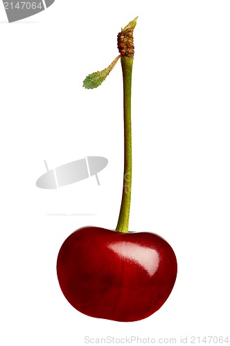 Image of Sweet cherries