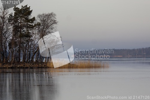 Image of icecovered sea