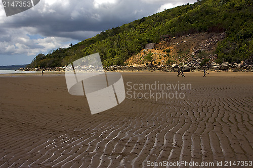 Image of house cabin  people  river   palm  