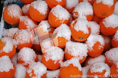 Image of Oranges with snow