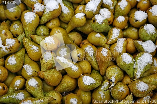 Image of Pears in snow