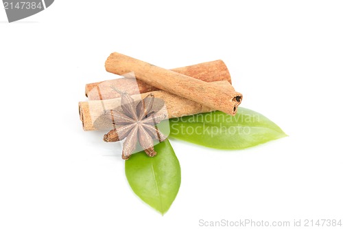 Image of Star Anise, cinnamon and and green leave on white
