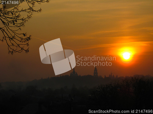 Image of Branch of tree and beautiful decline