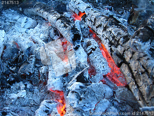 Image of Ashes and ashes from the extinct fire