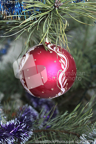 Image of red New Year's ball on the fur-tree