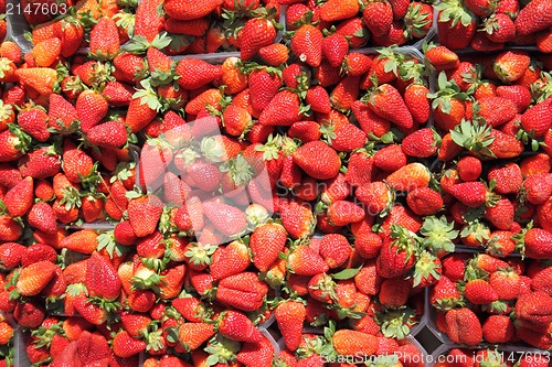 Image of strawberries background