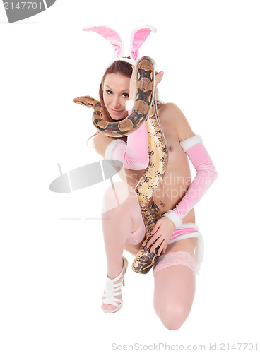 Image of Sexy Woman in Rabbit Costume with Boa