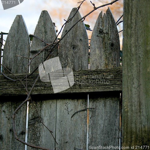 Image of Weathered Fence