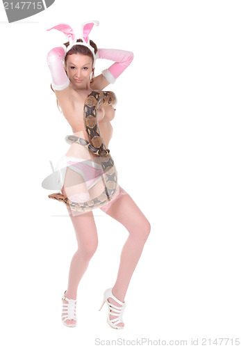 Image of Sexy Woman in Rabbit Costume with Boa