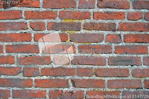 Image of brick wall