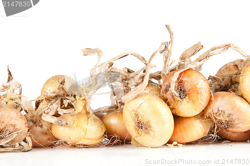 Image of Onion in white background
