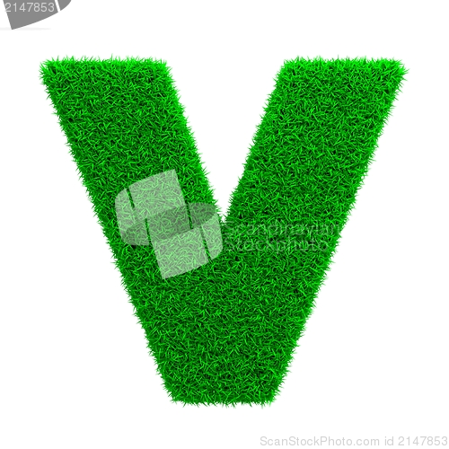 Image of Grass Letter Isolated on White.