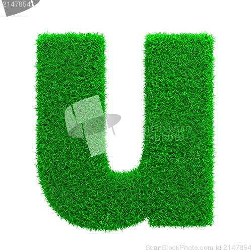 Image of Grass Letter Isolated on White.