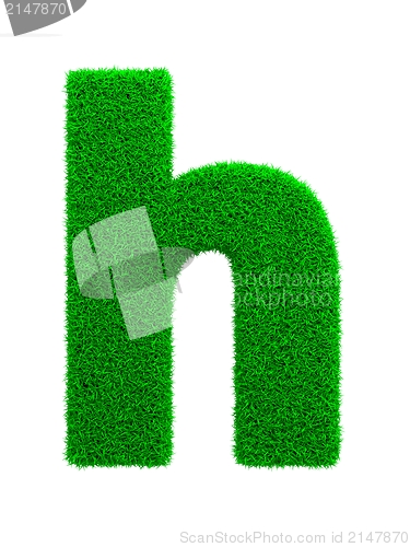 Image of Grass Letter Isolated on White.