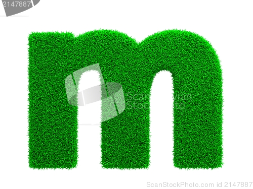 Image of Grass Letter Isolated on White.