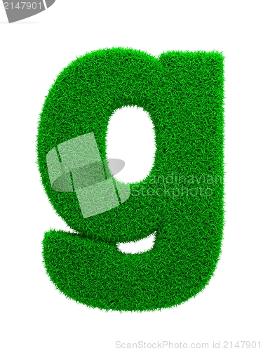 Image of Grass Letter Isolated on White.